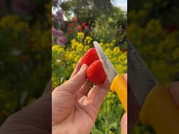 Strawberry cutting skills #shorts
