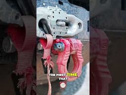 Van Life Winch Rescue: Is It Needed?