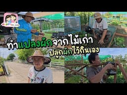 ทำแปลงผักจากไม้เก่า ปลูกผักไว้กินเอง บ้านสวน EP 31 Happy Channel