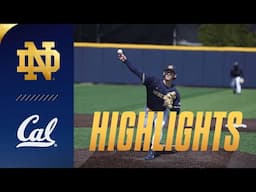 🔥 DON'T LET THE IRISH GET HOT 🔥 ND Extends Win Streak | Highlights vs Cal | Notre Dame Baseball