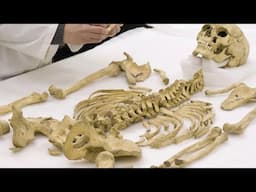 Largest EVER Human DNA Study Just Conducted With Shocking Results!