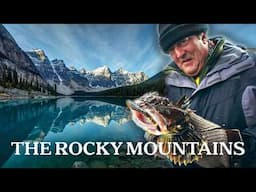 Wolves, Bears & Bisons: Exploring the American West