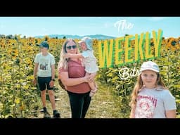 Sunflower Days | The weekly bits