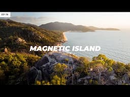 Why you need to visit MAGNETIC ISLAND! Koalas, Rock Wallabies and Beach Camping
