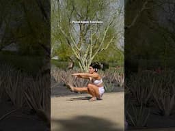 Pistol squat exercises