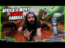 THE MOST FEARED SNAKES IN SOUTH AFRICA!
