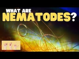 ASL What Are Nematodes?