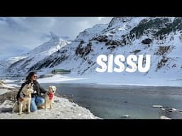 We spent a day in Shaleen - Eco Village Manali | Snow fun in Sissu
