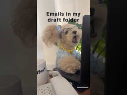 Emails in my draft folder #noodlesthepooch #workhumor #funnyanimals #funnyshorts #funny