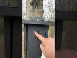 Gadget Cache in Pennsylvania