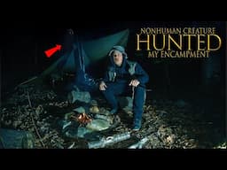My SCARRING CAMPING ENCOUNTER ALONE In HAUNTED WOODLANDS (NON-HUMAN FORCES SPEAK)