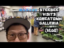 Steebee visits Koreatown Galleria (VLOG)