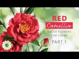 Make Camellia Flowers For Cakes & Clay Crafts |  Part 1