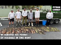 We Took Out 400 Pounds of Invasive Iguanas In One Epic Hunt
