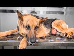 She Trusted, They Failed Her. Let’s Change Her Story Now.