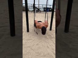 Ring Fly Push Ups