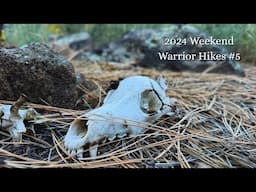 2024 Weekend Warrior Hikes #5: Arizona White Mountains Loop