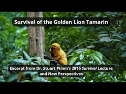 Survival of the Golden Lion Tamarin | Dr. Stuart L. Pimm