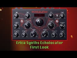 Is the Erica Synths Echolocator any good ?(demo at 3:40)