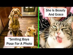 Pictures Of Animals That Are Impossible To Look At Without Smiling