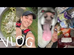 Regalos para Bebés, Costco y regresando a hacer ejercicio | LAURA CORTÉS |