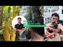 Roque's Modern Life Live Stream