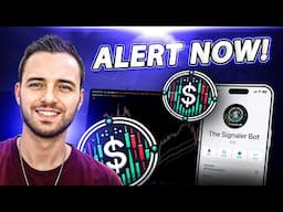 Best Indicator : TheSignaler Reveals the Ultimate Choice!