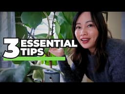 3 ESSENTIAL TIPS TO GROW ALL HOUSEPLANTS