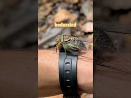Better than a Rolex #nature #bedazzled #beautyinnature