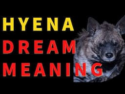Hyena Dream Interpretation: The Shocking Truth Behind Your Nightmares!