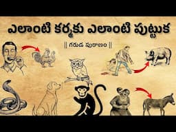 కర్మ ఫలితం: ఎలాంటి కర్మ - అలాంటి జన్మ | గరుడ పురాణం రహస్యాలు |  Infosecret