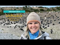 Ushuaia, Argentina: Walking With Penguins