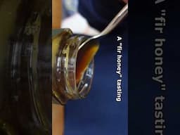 tasting fir #honey
