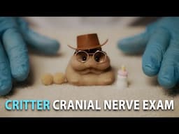 Critter Cranial Nerve Exam ASMR