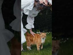 JJ the Crow's Eye Cat #history #painting #costume #cat