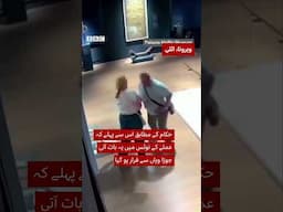 Moment museum visitor breaks ‘Van Gogh’ chair - BBC URDU