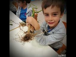 IO SONO COME UN ALBERO- Istituto Comprensivo “Sorrento” #IoCiTengo