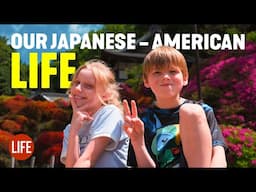 Our Japanese/American Family Life 🇯🇵🇺🇸  Life in Japan EP 309