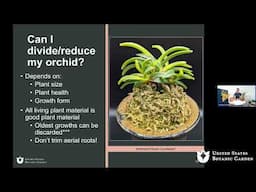 Interactive Orchid Q&A with George (Online Q&A)