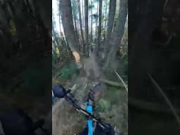 Birthday  rippin!!! ​⁠@orbea #bike #mtb