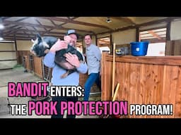 An EMOTIONAL Goodbye to Our Farm Pig BANDIT