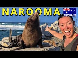 Narooma ULTIMATE Travel Guide! | What to do, where to eat, where to stay