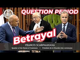 Millions Vanished? MPs Demand the Truth on GC Strategies | Question Period June 10