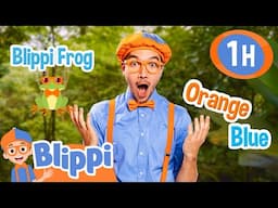 Blippi’s Brave Nature Walk 🌿🦉 Discover Together | Blippi | Family Time! 👨‍👩‍👦 | MOONBUG KIDS
