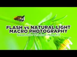Flash vs Natural Light Macro Photography - Nikon Z6iii & TTartisan 75mm f2