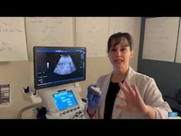 Diagnostic Medical Sonography Explained | Charter College