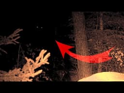 IS THIS THE MOST AUTHENTIC BIGFOOT TRAIL CAM FOOTAGE EVER???