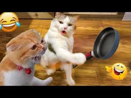 You Laugh You Lose😋😻New Funniest Dogs and Cats 2025😹🐕 #4