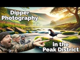 Photographing Dippers in the Peak District