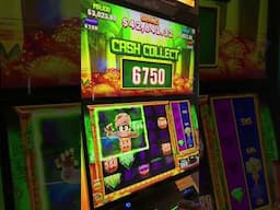 CHAOS ERUPTS ON MY FIRST SPIN #gambling #casino #slots